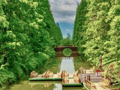 -黄海国家森林公园