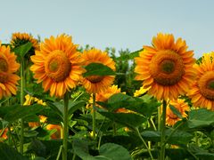 -奥林匹克森林公园北园-停车场