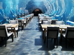 -涛·海底餐厅·美人鱼·自助餐·海底隧道(三亚海棠湾洲际度假酒店)
