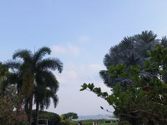 -糟粕醋·椰苑海南菜餐厅(亚龙湾天域酒店)
