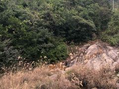 -大罗山风景区