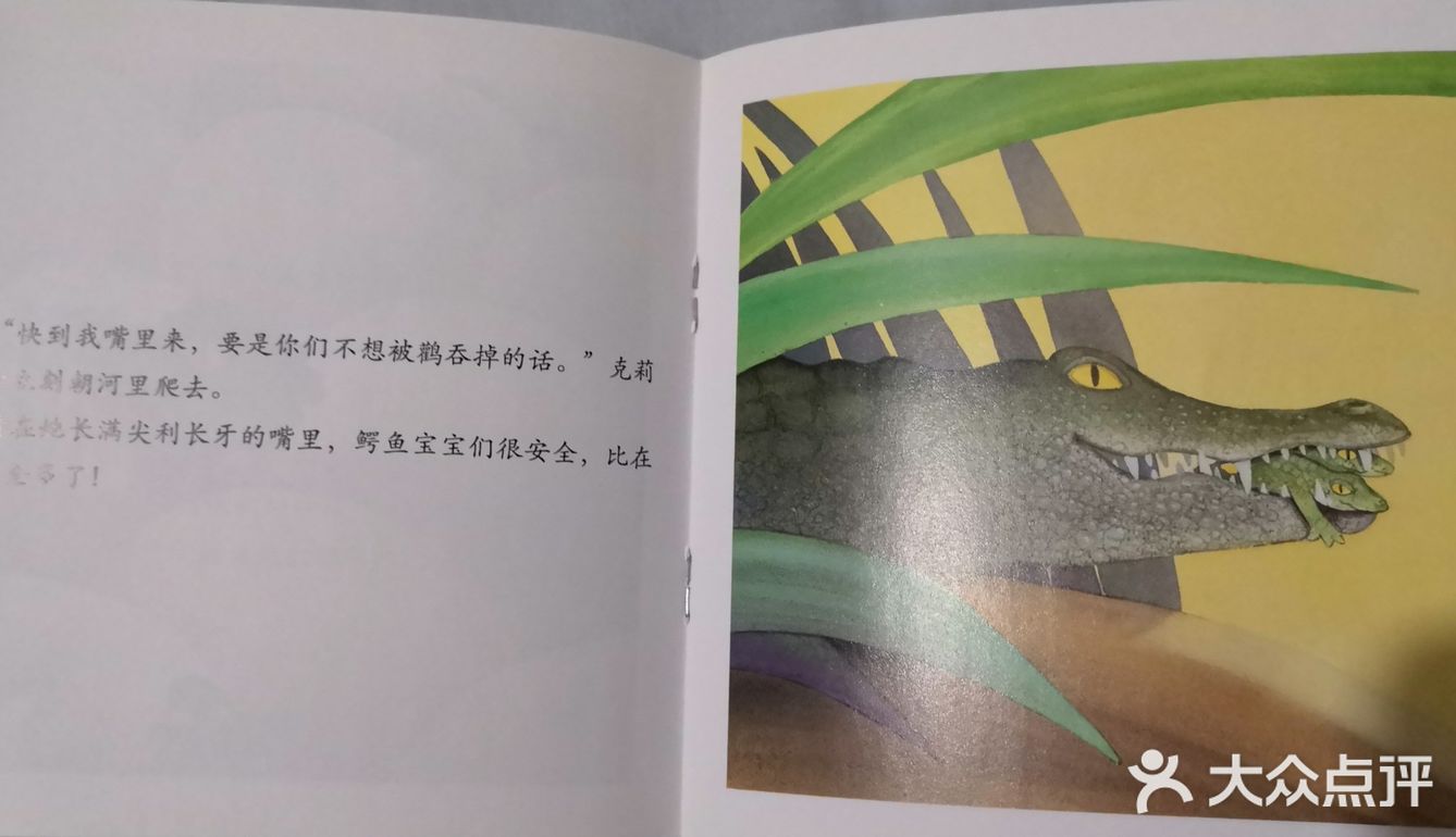 妈妈，鳄鱼很可爱哦！