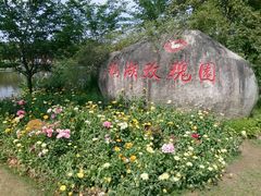 -鹅湖玫瑰文化园