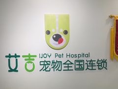 -艾吉宠物医院·疑难杂症转诊中心·猫友好(碧江路院)