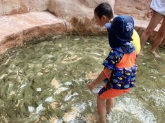 -江门古兜温泉小镇