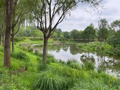-东郊湿地公园