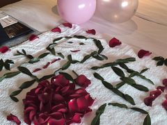 -上海佘山世茂艾美酒店