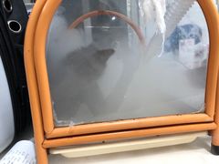 -宠颐生中康贝怡动物医院