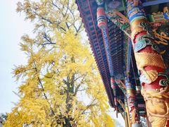 -金堂县云顶石城风景区