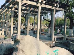-百花洲