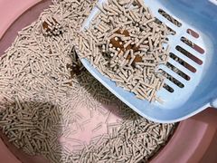 -瑞派动物医院·绝育·犬猫全科·预防医学(光景江南中店)