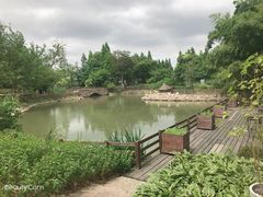 -田园东方蜜桃村的田野营地