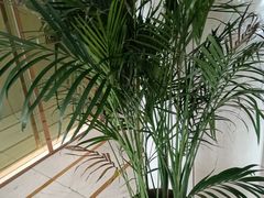 -华夏良子·足道SPA艾灸(三里屯店)