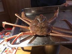 -綱元·海鲜豆捞(明州里店)