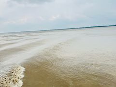 -观潮胜地公园