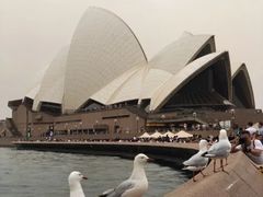 -悉尼歌剧院