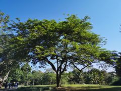-中国科学院西双版纳热带植物园