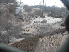 android_upload_pic-太原动物园