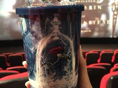 -CGV影城(梅江ScreenX店)