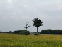 -嘉北郊野公园