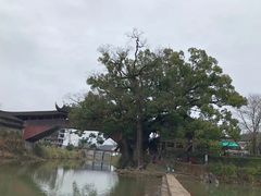 -沈阳辉山风景区