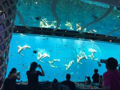 -瑞德姆美人鱼海底演艺主题餐厅(亚龙湾店)