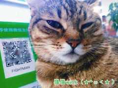 -FIGHTMAN格斗俱乐部(长宁临空店)