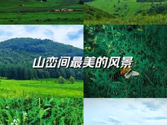 -崇礼喜鹊梁