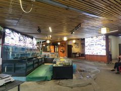 -陶缘一号·四季缘·老字号顺德菜·户外婚礼家宴(西滘店)