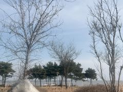 -青岛海泉湾度假区温泉