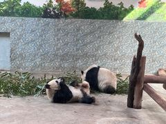 -西安秦岭野生动物园