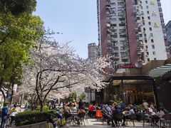 -玛格萝妮比萨屋(四平店)