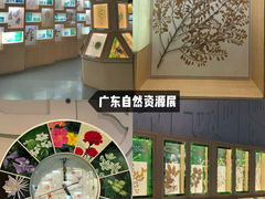 -广东省博物馆