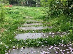 -白马涧龙池景区