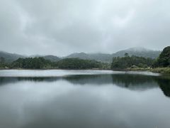 -海南热带雨林国家公园吊罗山景区