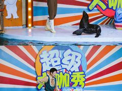 -南昌海洋公园