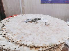 -官塘陈记鱼生·潮汕砂锅粥·牛肉火锅(潮枫路总店)