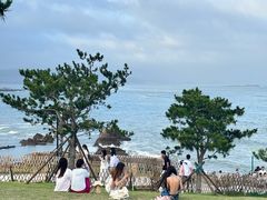 -小麦岛公园