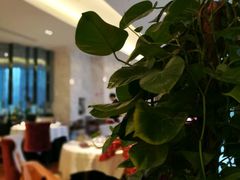 -上海小南国(世博源店)