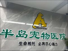 -半岛宠物医院24小时(白果林店)