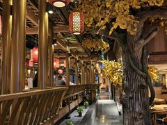 -老凯俚酸汤鱼(多彩城店)