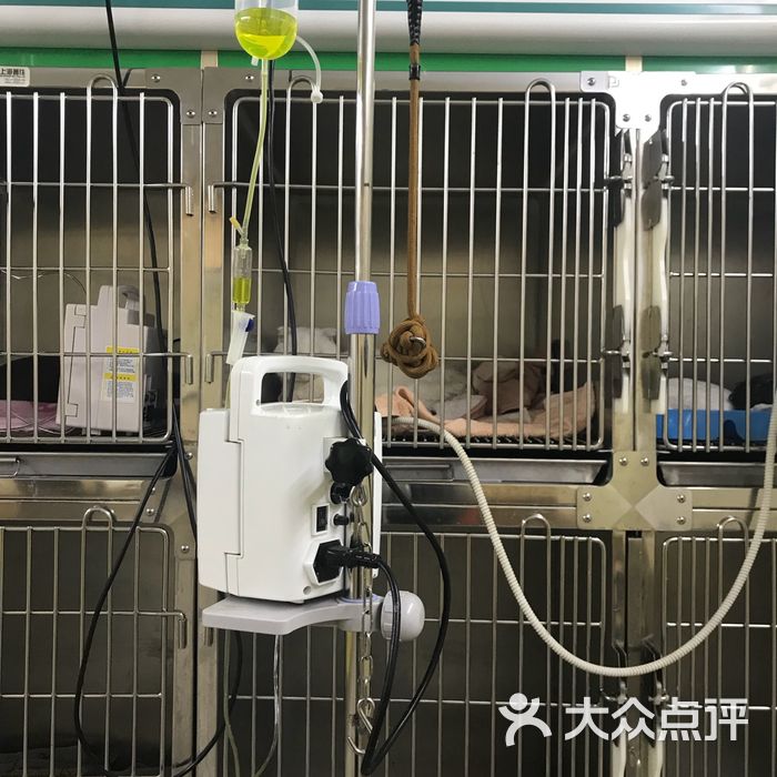 amc中心动物医院图片-北京宠物医院-大众点评网