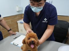 -爱侣宠医·鹦鹉专科·小型哺乳类·异宠专科(灵石路店)