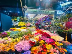 -曲阳花鸟市场(曲阳路店)