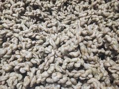 油赞子-沈氏祖传老宁波油赞子(南塘店)