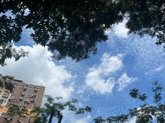 -坂田天虹
