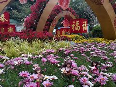 -晓港公园