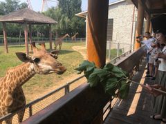 -石家庄市动物园