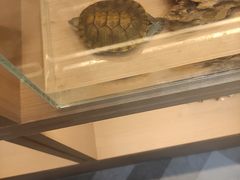 -御海8号温泉酒店