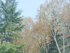 -西安石油大学(雁塔校区)
